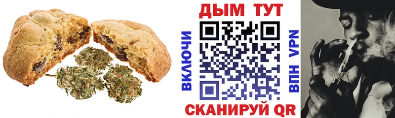 МЕГА онион  маркетплейс наркотические препараты  Печенье с ТГК конопля  цена наркотик  Еманжелинск 