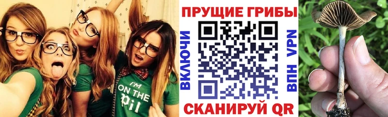 где найти наркотики  Еманжелинск  Галлюциногенные грибы мухоморы 