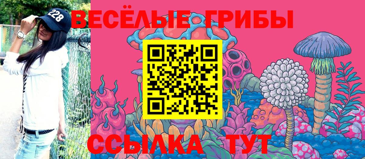 Псилоцибиновые грибы GOLDEN TEACHER Еманжелинск